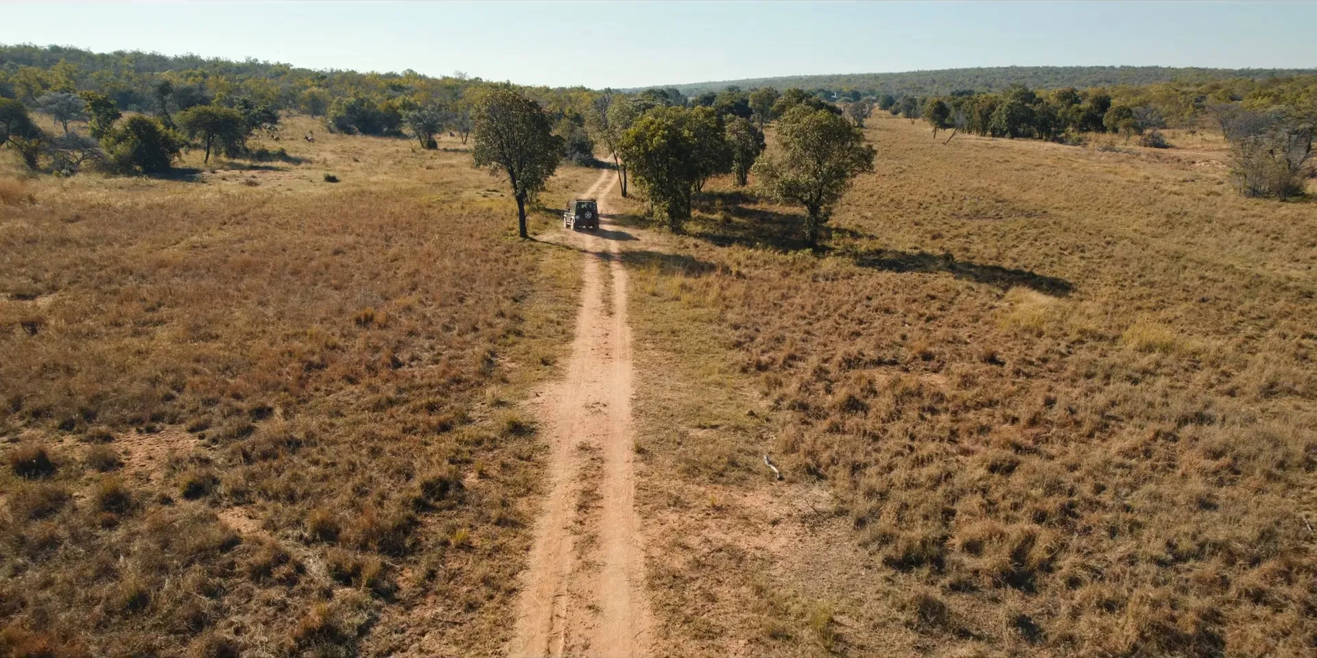 Screenshot-Pangolin-Kulus-Journey-2025 Kulu’s Journey 2025 Hindi Dual Audio WEB-DL 720p - 480p - 1080p
